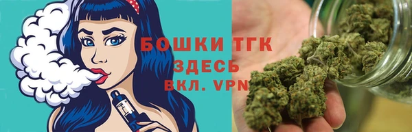 дживик Аркадак
