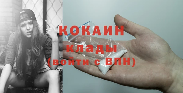дживик Аркадак