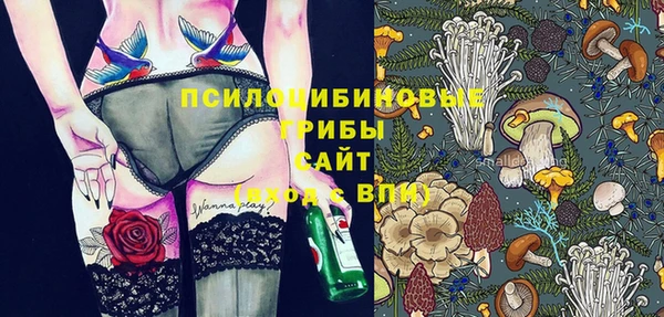 дживик Аркадак
