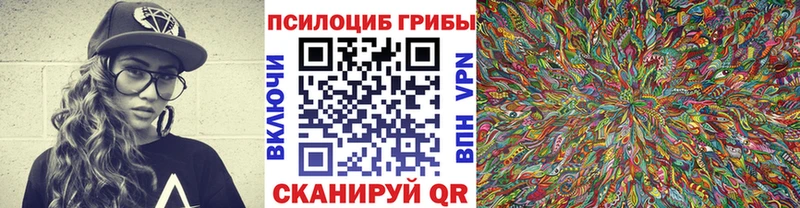 Псилоцибиновые грибы Psilocybe купить наркотик Мышкин